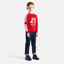 Boy Holiday sweater