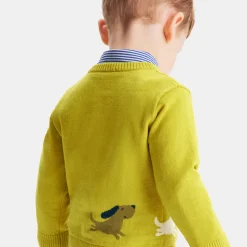 Fancy Intarsia baby boy sweater